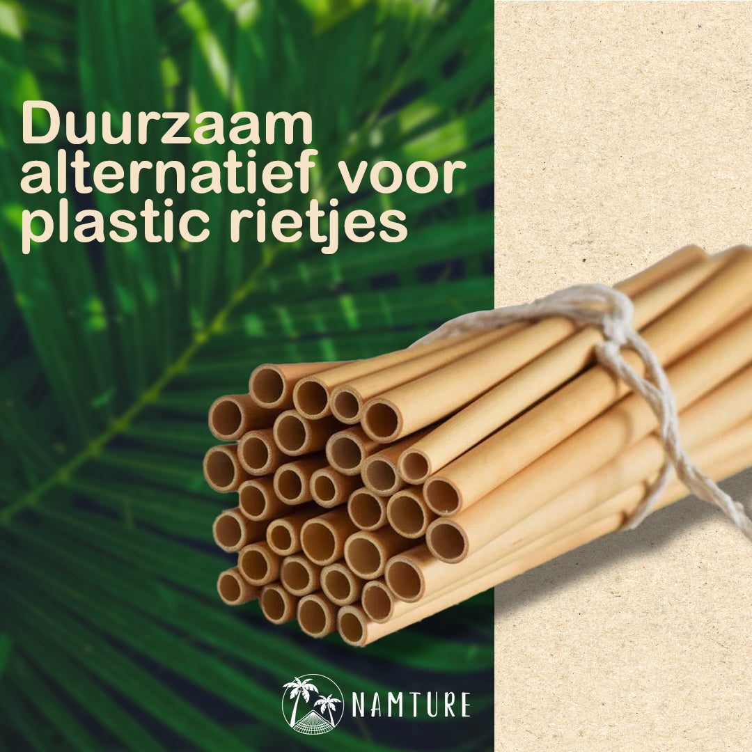 Bamboe Rietjes + Cleaner (6-delig) - NAMTURE